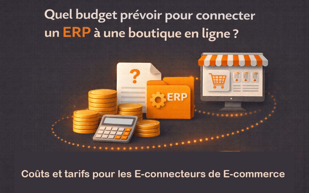 Quel budget prévoir pour connecter un ERP à une boutique en ligne ?