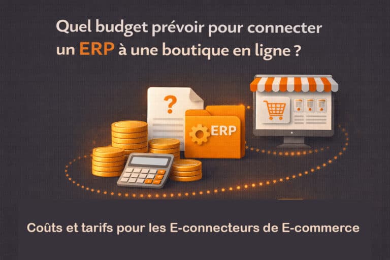 budget e connecteur e commerce