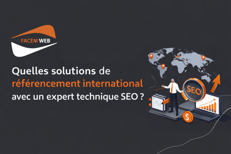 solution referencement international expert technique seo